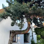 Villa Ostseebad 8-personen-ferienhaus Mit Beh Wpool Goehren (Ruegen)