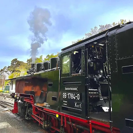 Vila Ostseebad 8-personen-ferienhaus Mit Beh Wpool Goehren (Ruegen)