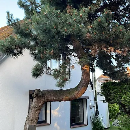 ヴィラ Ostseebad 8-personen-ferienhaus Mit Beh Wpool ゲーレン