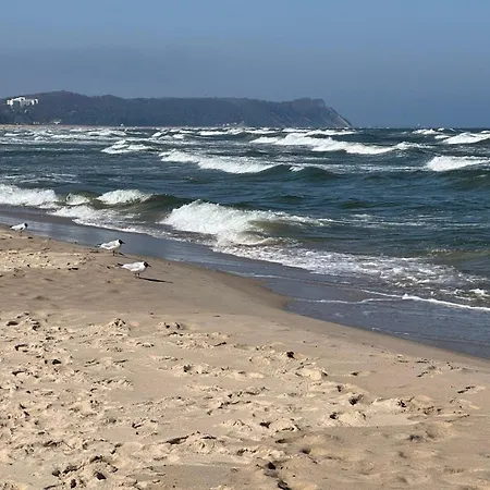 Ostseebad 8-personen-ferienhaus Mit Beh Wpool ヴィラ